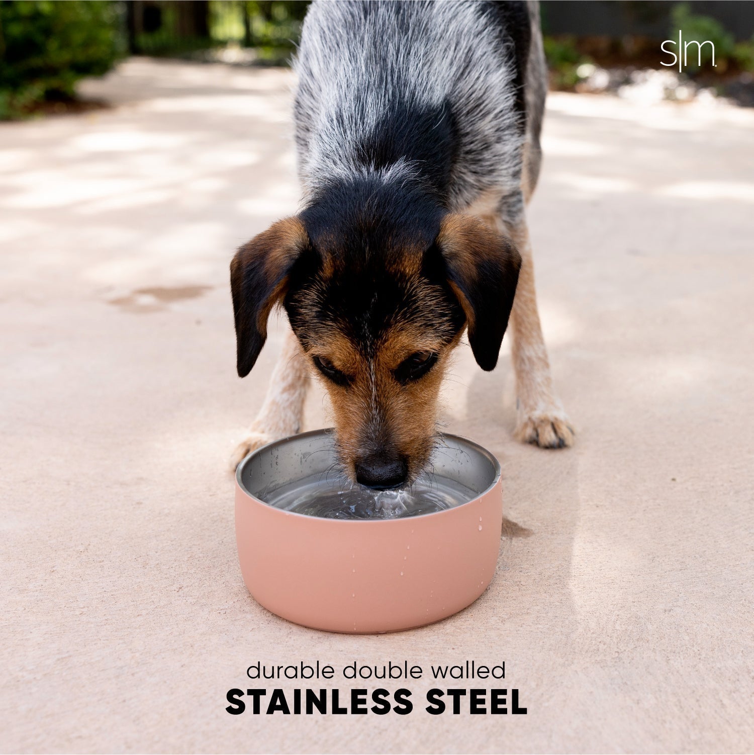 Bentley Pet Bowl J8 4y