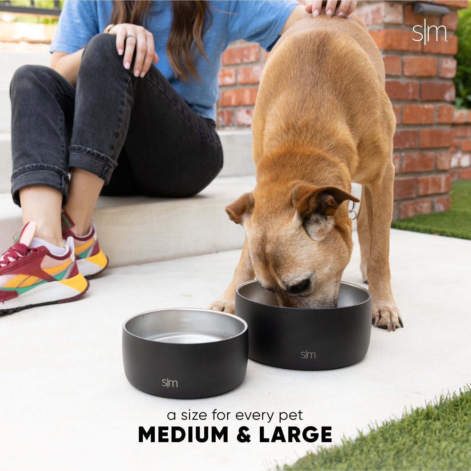 Bentley Pet Bowl F1 xB
